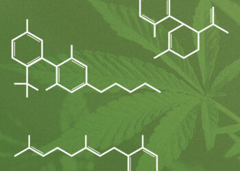 კანაბინოიდების ეფექტები